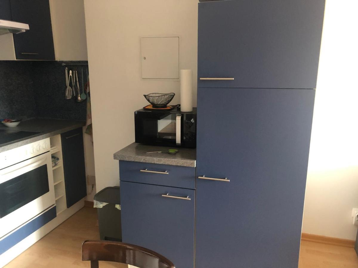 Mf City Apartment Korneuburg Dış mekan fotoğraf